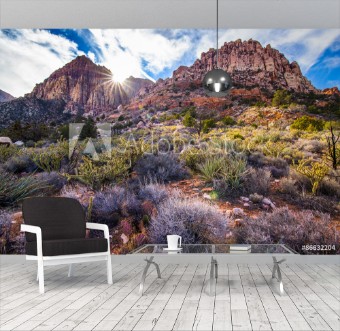 Picture of Sunset on a desert ridge in Red Rock Canyon near Las Vegas NV